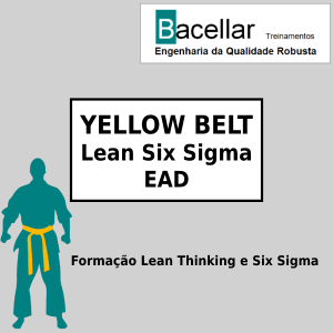 Yellow Belt EAD