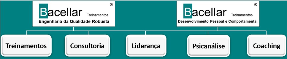 Estrutura Unidades de Negócio: Treinamentos, Consultoria, Liderança, Psicanálise, Coaching